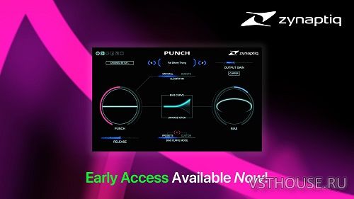Zynaptiq - PUNCH v1.0.0 VST3, AAX, x64 [R2R]