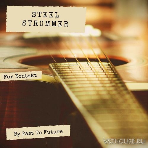Past to Future Reverbs - Steel Strummer (KONTAKT)