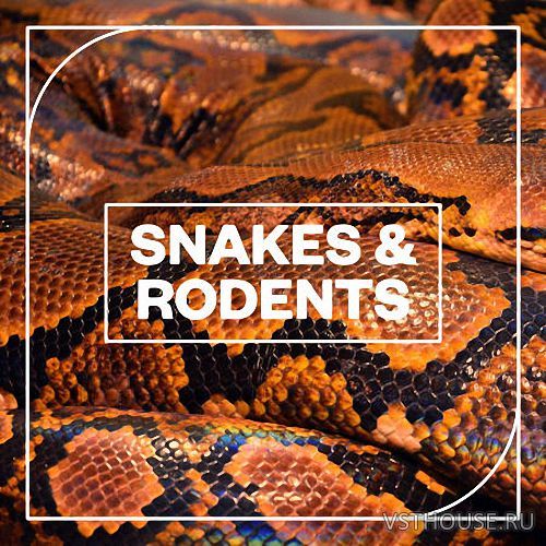 Blastwave FX - Snakes and Rodents (WAV)