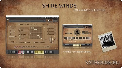 Insanity Samples - Shire Perc (KONTAKT)