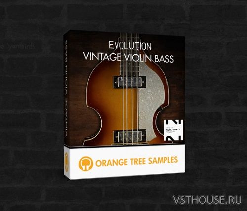 Orange Tree Samples - Evolution Vintage Violin Bass 1.2.5 (KONTAKT)