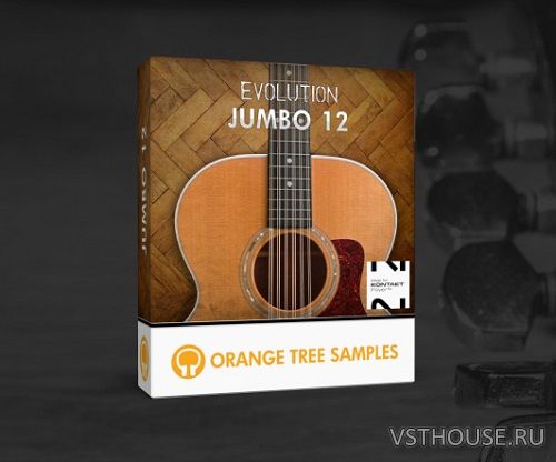 Orange Tree Samples - Evolution Jumbo 12 v1.2.5 (KONTAKT)