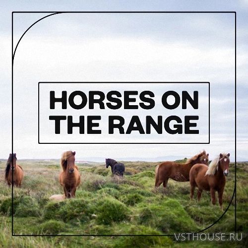Blastwave FX - Horses on the Range (WAV) Blastwave FX - Horses on the Range (WAV)