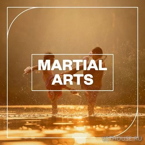 Blastwave FX - Martial Arts (WAV)