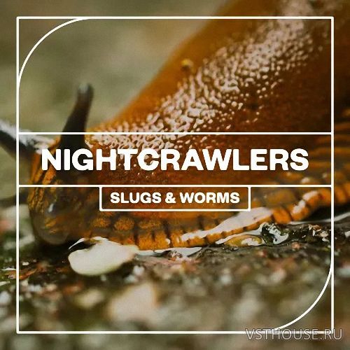 Blastwave FX - Nightcrawlers Slugs and Worms (WAV)