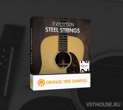 Orange Tree Samples - Evolution Steel Strings 1.2.5 (KONTAKT)