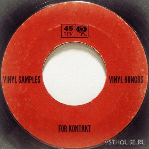 Past to Future Reverbs - Vinyl Bongos (KONTAKT, WAV) Past to Future Reverbs - Vinyl Bongos (KONTAKT, WAV)