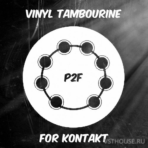 Past to Future Reverbs - Vinyl Tambourine (KONTAKT)