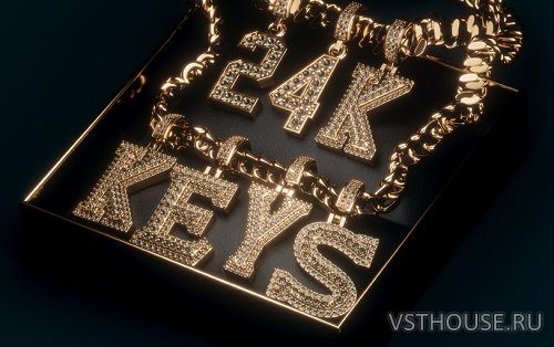Native Instruments - Play Series 24K Keys (KONTAKT) Native Instruments - Play Series 24K Keys (KONTAKT)