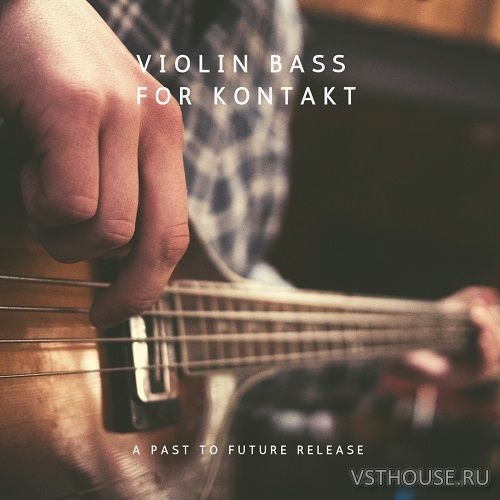 Past to Future Reverbs - Violin Bass (KONTAKT)