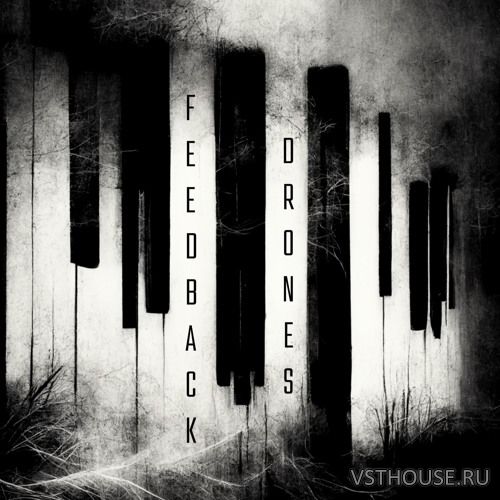 Triumph Audio - Feedback Drones (KONTAKT, WAV)