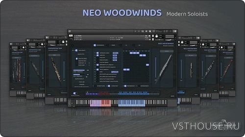 Insanity Samples - Neo Woodwinds Modern Soloists 3.0.0 Insanity Samples - Neo Woodwinds Modern Soloists 3.0.0
