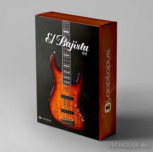 Looptopus - El Bajista 1.0.1 VST3, AU WIN.OSX x64 Looptopus - El Bajista 1.0.1 VST3, AU WIN.OSX x64