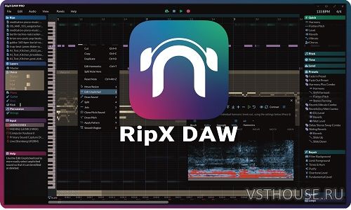 Hit 'n' Mix - RipX DAW PRO v8.0.0 (x64) [11.2025, ENG] TRACER