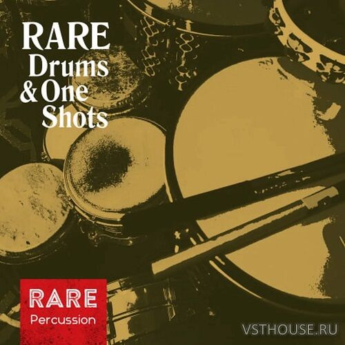RARE Percussion - Drums and One Shots (WAV)