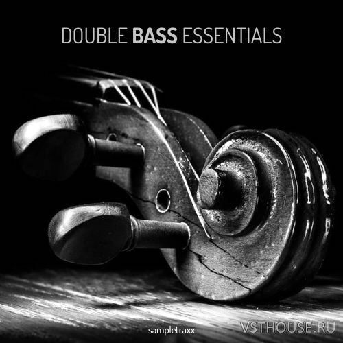 Sampletraxx - Double Bass Essentials (KONTAKT) Sampletraxx - Double Bass Essentials (KONTAKT)