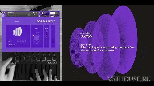 Inlet Audio - Formantic (KONTAKT) Inlet Audio - Formantic (KONTAKT)