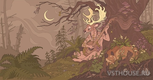 Wavelet Audio - The Deer, the Fox and the Guitar