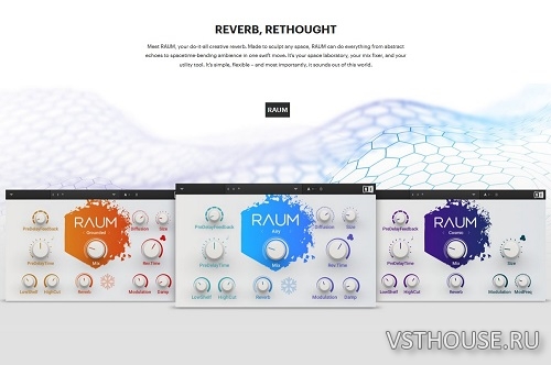 Native Instruments - Raum v1.3.3 VST, VST3, AAX x64 [R2R]