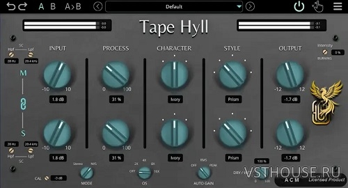 GARUC Audio - Tape Hyll v1.2.2 VST3, AAX x64 [MOCHA]