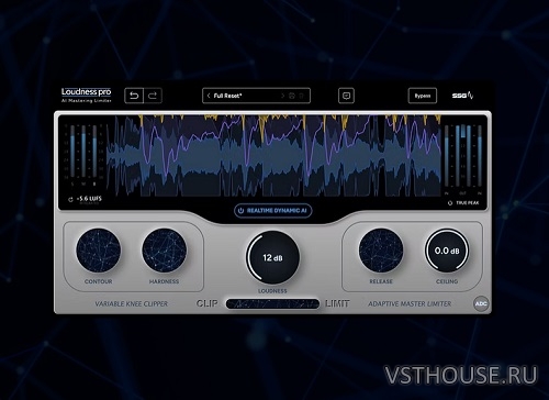 SSG Audio - Loudness Pro v.1.1.104 VST, VST3, AAX x64 [R2R]
